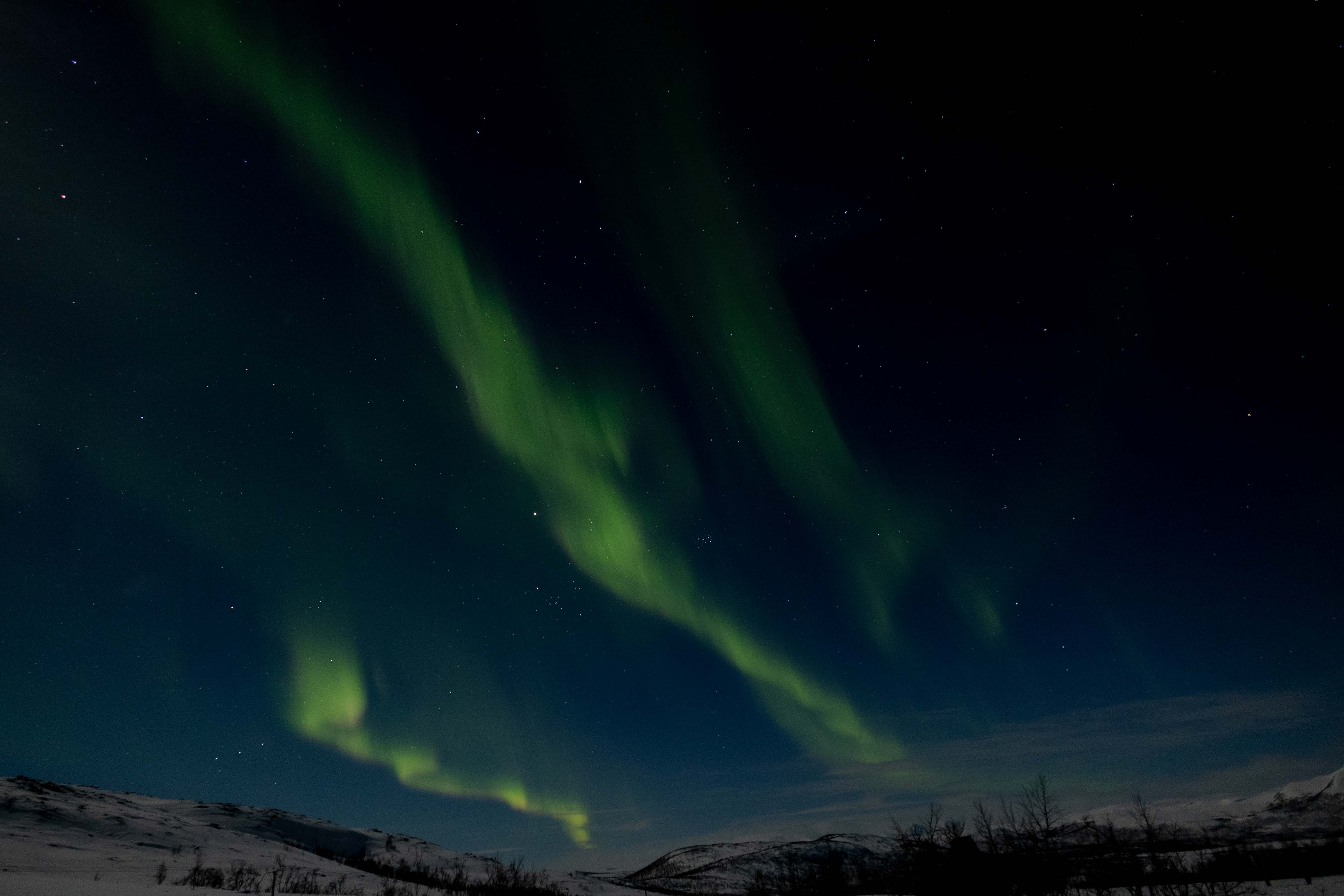Northern Lights 1