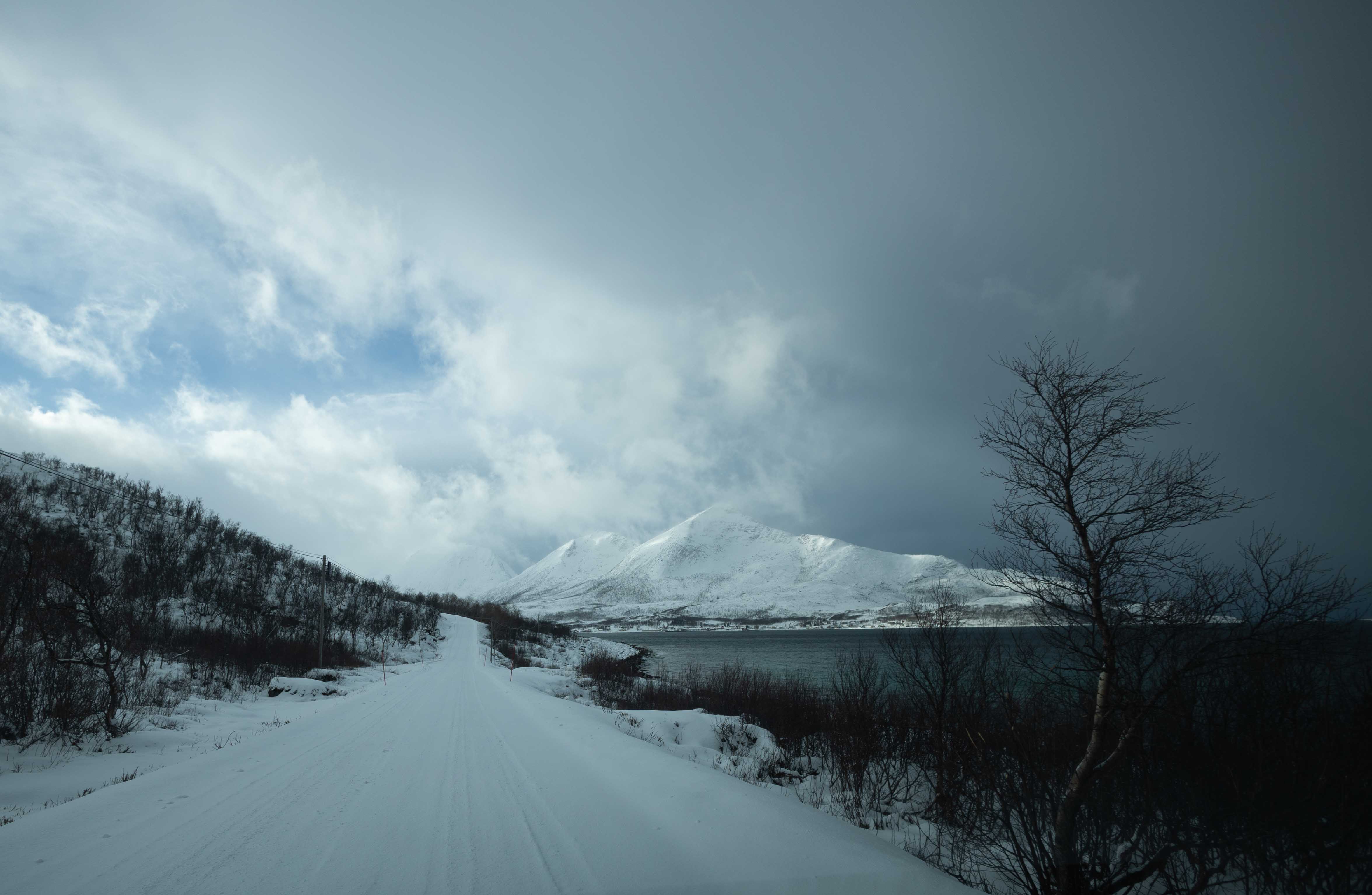 Snowed Road disappearing in the horizon